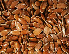 殼寡糖拌種對(duì)亞麻種子萌發(fā)的影響